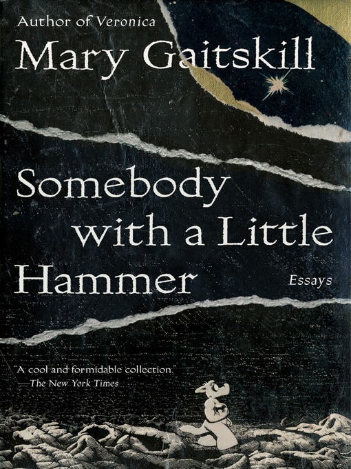 Title details for Somebody with a Little Hammer by Mary Gaitskill - Available